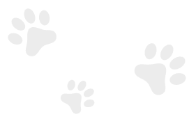 Three gray animal paw prints are shown on a transparent background, positioned diagonally across the image.